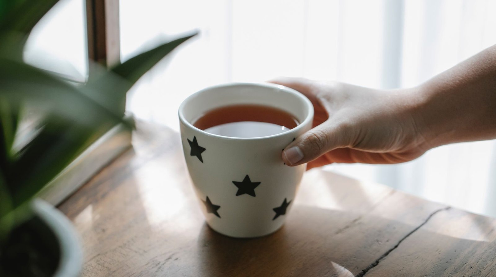 From Ritual to Refreshment: The Rise of Everyday Teas