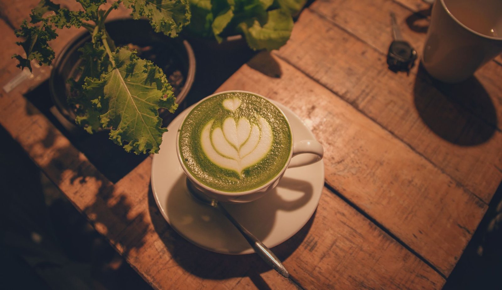 Naoki Matcha Superior Ceremonial Blend Review: Uji Matcha Built for Lattes First
